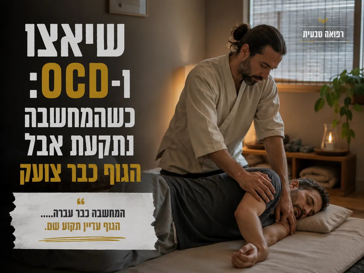 טיפול שיאצו רגוע בחדר טיפולים באור טבעי לאדם המתמודד עם מתח גופני