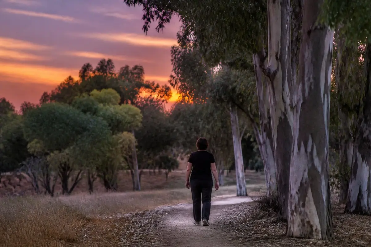 מול רגש חזק מאוד, אנשים נוטים לבחור קודם להתרחק, ולחשוב עליו אחרי שהגל יורד. אישה בשנות החמישים הולכת לבד בשביל בפארק שכונתי בשעת דמדומים, עצי אקליפטוס ושמיים כתומים, מצולמת מאחור