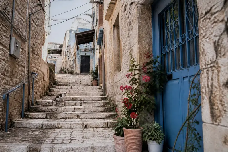 סמטת מדרגות אבן בשכונה ותיקה באור יום, חתול על אחת המדרגות ועציצים עם פרחים אדומים ליד דלת מתכת כחולה